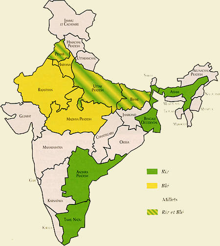 Céréales en Inde