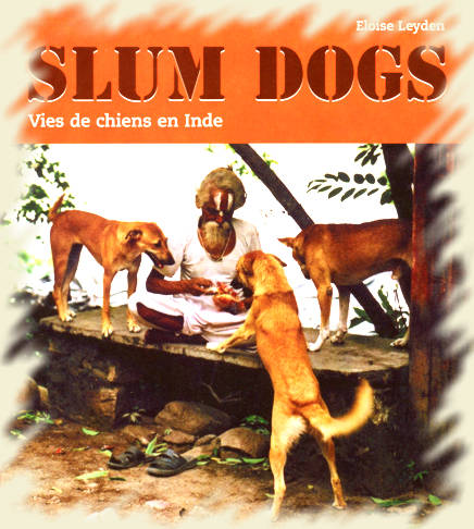 Slum Dogs, Vies de chiens en Inde